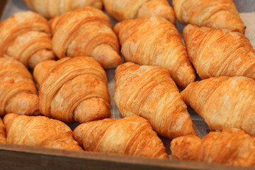 Close up Croissant serve on wooden tray in the bakery shop.