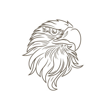Eagle head vector image