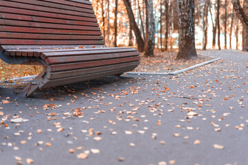 empty wooden bench in autumn park, leaf fall