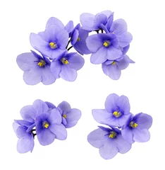 Foto op Canvas Set of violet flowers isolated © Ortis