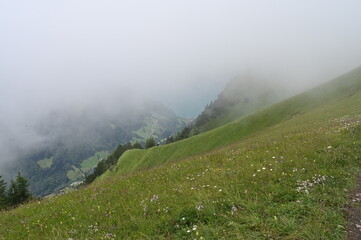 Swiss haze