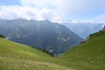 Swiss panorama