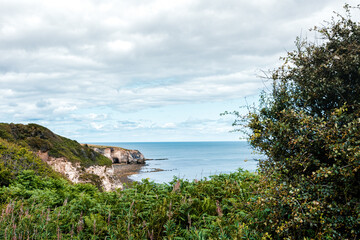 Fototapeta na wymiar County Durham UK: 26th July 2020: Durham Heritage Coast in Summer time with lots of foliage