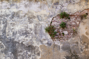 Vintage wall texture with flowers