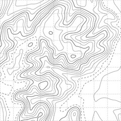 Topographic map with lines on a white background. Geographic map concept. Vector illustration