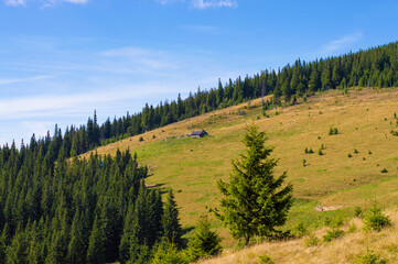 nature mountain landscape on the background of the sky