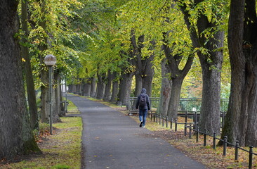 Fototapeta na wymiar walking in the park