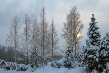 Beautiful white and snowy Finland winter scene
. 