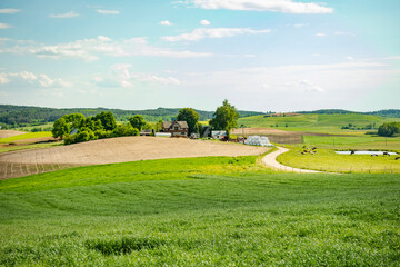 pole pola wieś wioska sielsko farma obszar wiejski pastwisko zielono podlasie suwalszczyzna