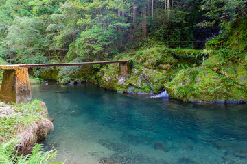 高知県は越知町の堂林の滝周辺