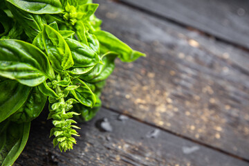 basil fresh herb juicy green petals seasoning raw fresh meal snack on the table copy space food background