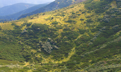 landscape mountainous area green slopes