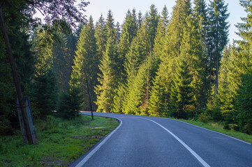Fototapeta na wymiar photo asphalt road in the forest