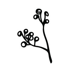 Vector Simple Christmas plant in doodle style with black line on white background.Floral,winter,botanical,mininmalist hand drawn illustration.Design for stickers,packaging,web,printing,posters. 