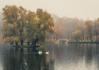 Mystical morning autumn landscape with fog over the lake. Foggy autumn landscape with State Museum Reserve Gatchina.
