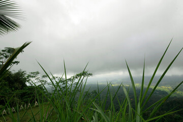 Scenic view of top hill in a rural village called Sidemen, Karangasem, Bali, Indonesia