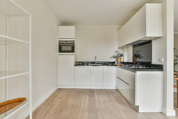 Minimalist style kitchen in apartment