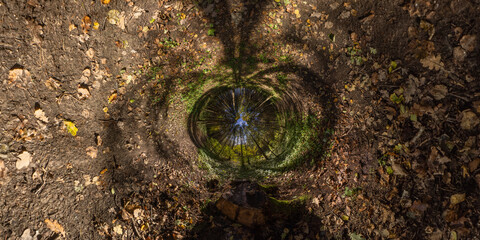 hyperbolic tunnel panorama projection of spherical panorama in sunny autumn day in pine forest with...