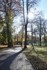 Parco