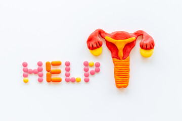 Model of female reproductive system with medical pills