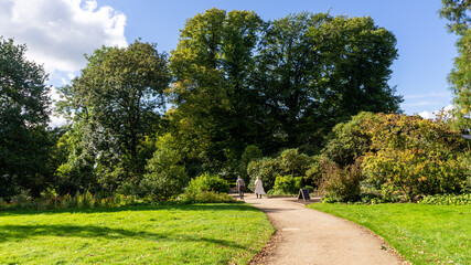 Park alley surrounded by shrubs, trees and flowers