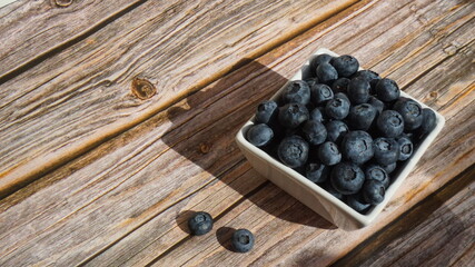 a bowl with fresh blueberries on a wooden surface sun rays breakfast