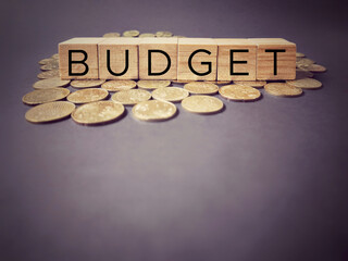 Financial Concept - budget text background. Stock photo.