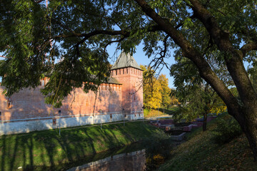 Fototapeta na wymiar Smolensk City Park. View of the Smolensk fortress wall.
