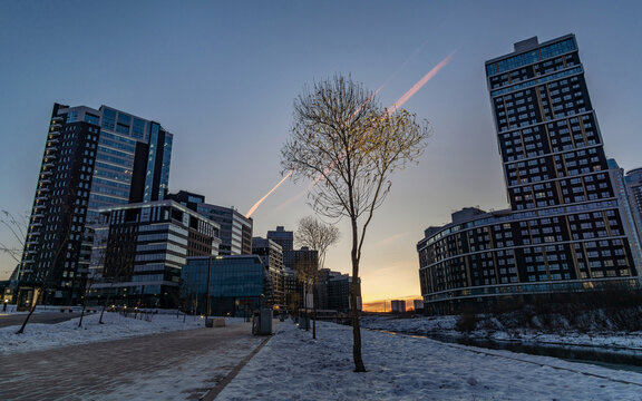 modern buildings and trees at sunrise