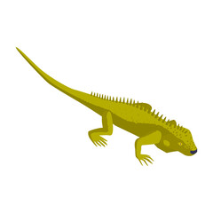 Isometric Lizard Icon