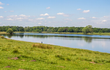 Tatton park lake in early summer, Tatton Park, Knutsford, Cheshire., UK