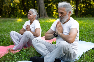 Fototapeta premium Beautiful senior couple is meditating in the park 
