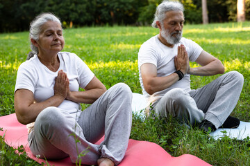 Beautiful senior couple is meditating in the park	