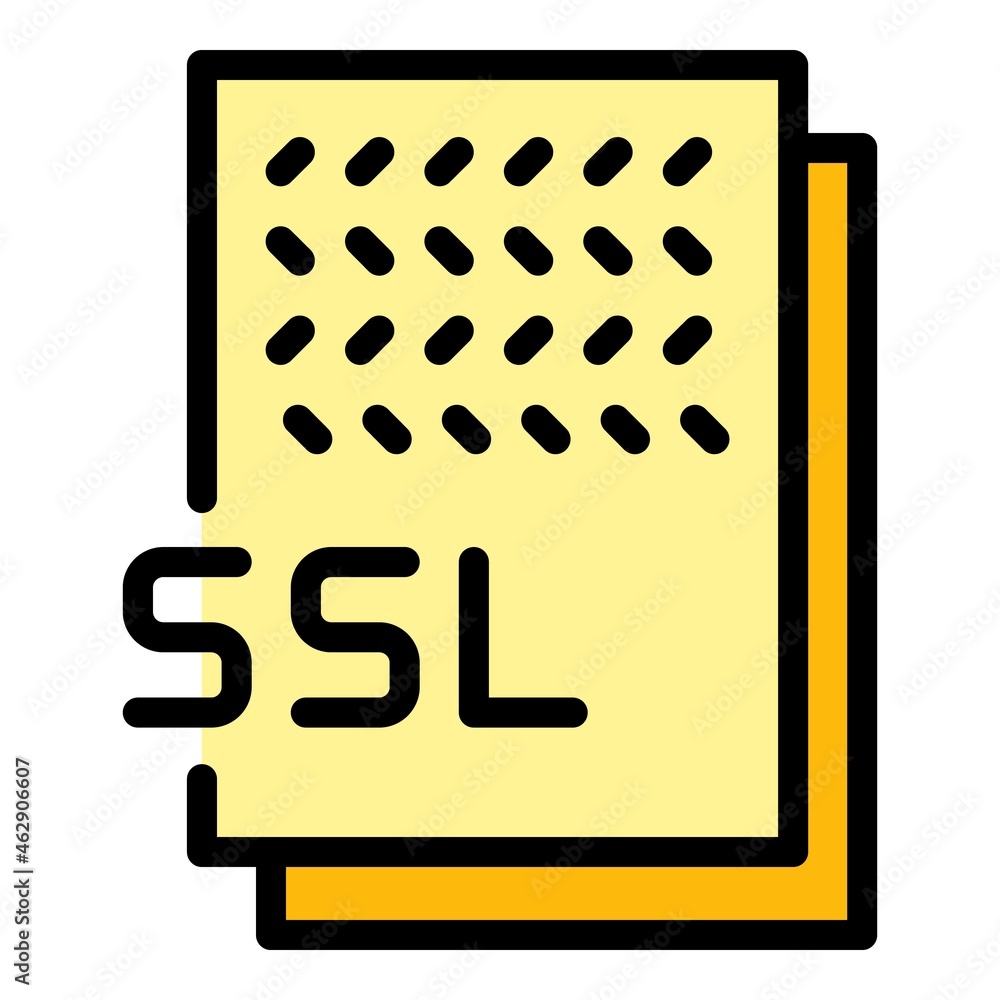 Poster ssl document icon. outline ssl document vector icon color flat isolated