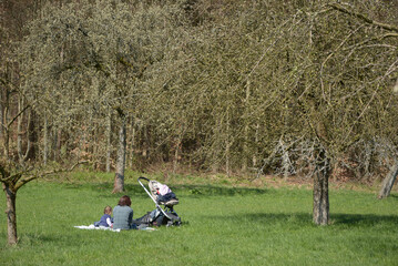 parent and child playing in the park