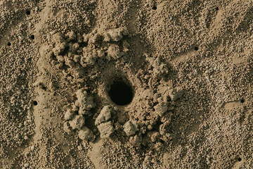 footprint in sand