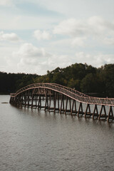 bridge over the river