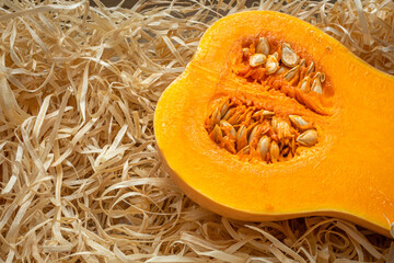 Healthy foods. Pumpkin vegetable. Forage plant. Vitamin A. Garden and vegetable garden. Cleansing the body. Diet product. Cancer prevention. Organic farm vegetables and fruits.