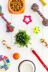 Pet accessories with dog and cat food and toys, top view