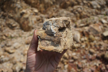 raw specimen of shale sedimentary rock in hand.