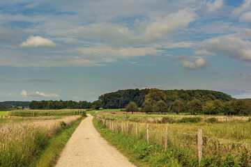 Winding dirt path with a fence along it between fields of corn in a rolling summer landscape under a blue cloudy sky.
