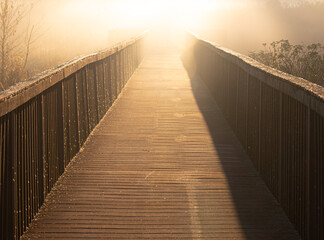Obraz premium Wooden boardwalk path in thick early morning fog at Dixon Meadow Preserve, Pennsylvania, USA
