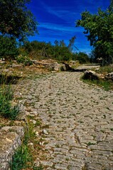 Pont,  vois Domitia et oppidum d'Ambrussum.