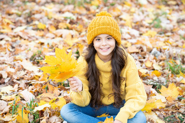Fototapeta na wymiar smiling child having fun with yellow maple leaf on natural background. autumn nature.