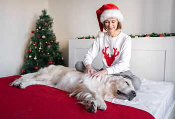 A young woman plays with her dog sitting near the Christmas tree. A girl in a Christmas sweater sits with a golden retriever wearing a santa claus hat. Coziness and joy at home on Christmas Eve.