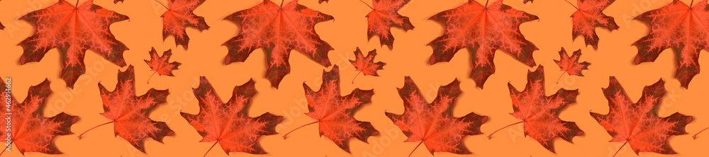 Canvas Prints autumn pattern for design. panorama pattern red maple leaf autumn on orange background.
