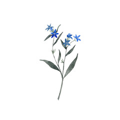 Fototapeta na wymiar Paint of watercolor blue flowers on background. Paint watercolor texture. Botanical art. Use for design invitations, birthdays, weddings