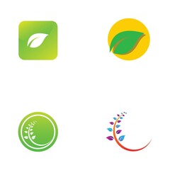 leaf logo and vector images