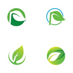 leaf logo and vector images