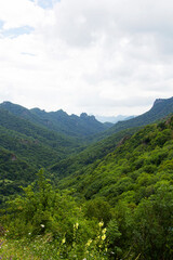 Fototapeta na wymiar The Caucasus Mountains. Mountain peaks in summer.
